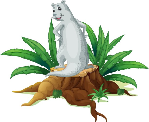 树桩上方的海狮背影图片下载