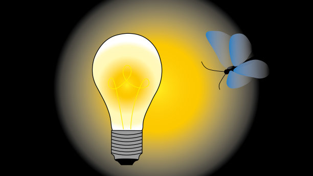 夜蝶飞向一个发光的电光图片下载