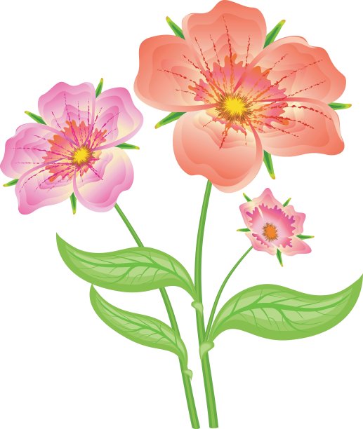 春天的红色的花图片下载