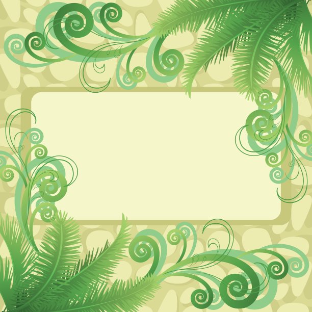 棕榈叶和抽象图案图片下载