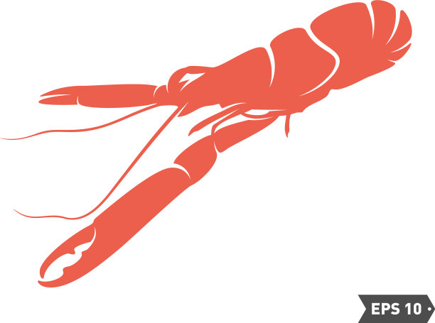 虾标志设计孤立虾上白色图片下载