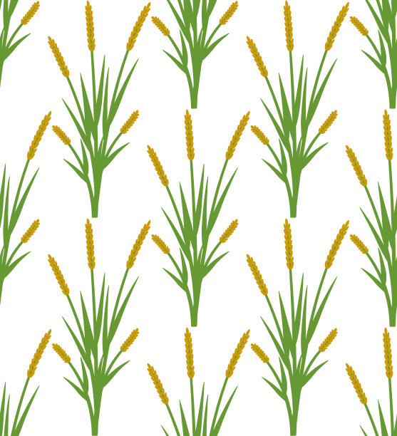 花卉图案的花图片下载