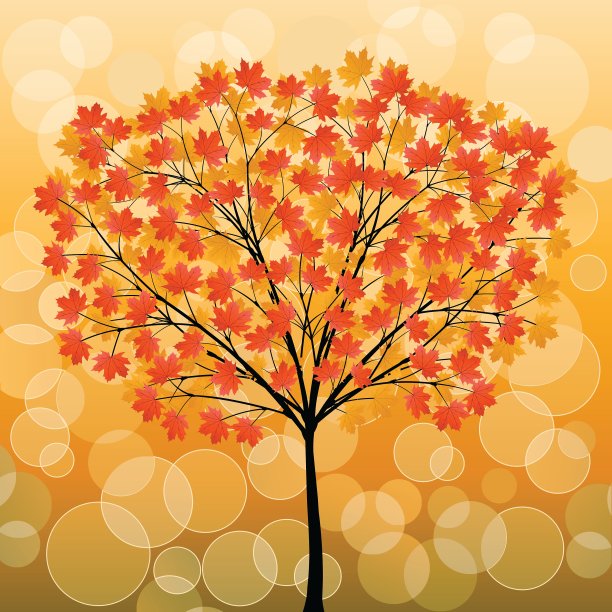 秋天的树图片下载