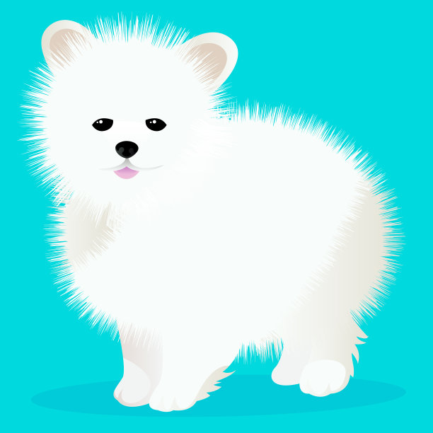 猎犬狗白图片下载