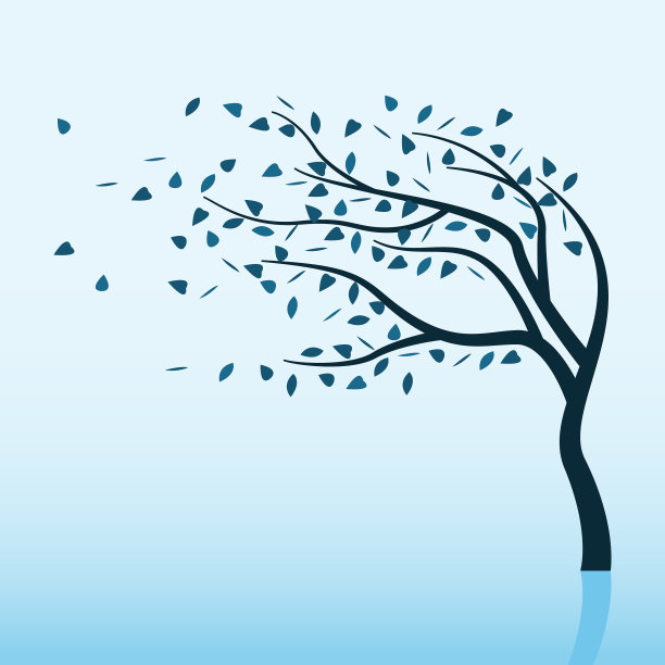 冬天的风暴和树图片下载