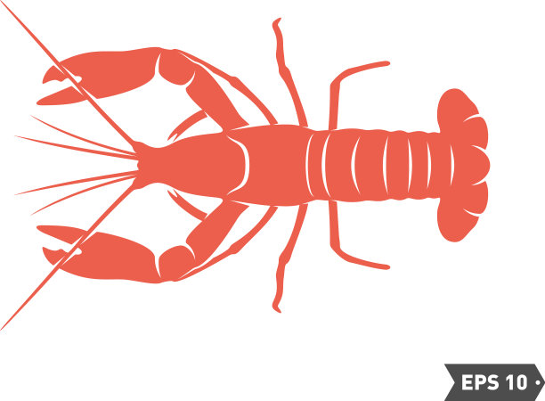 虾标志设计孤立虾上白色图片下载