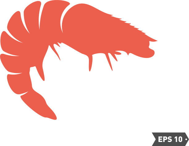 虾标志设计孤立虾上白色图片下载