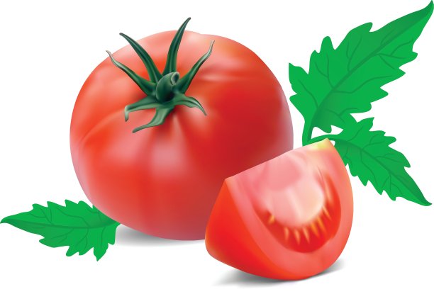 番茄与段图片下载