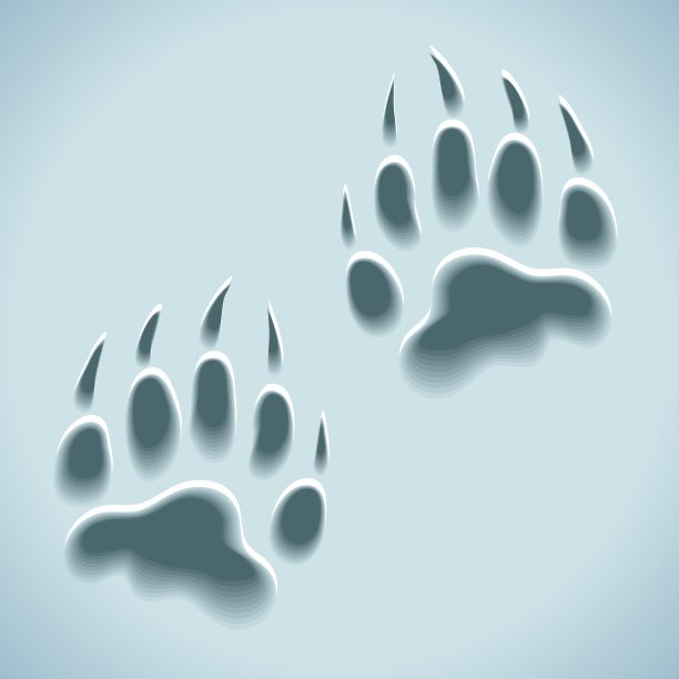 雪上野生动物的足迹图片下载