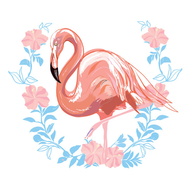 粉红色火烈鸟孤立在绿色背景上图片下载
