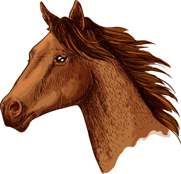 马蹄子头素描符号图片下载