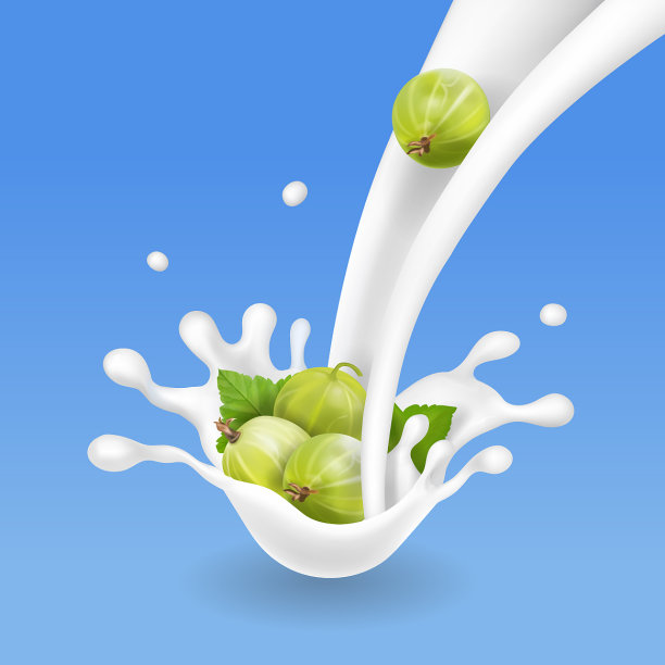 醋栗在牛奶流或酸奶飞溅逼真图片下载