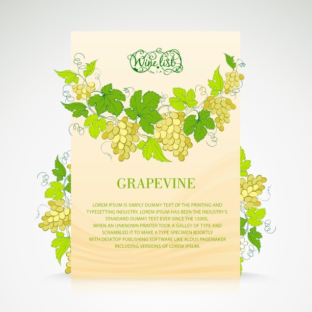 用葡萄装饰的酒单设计图片下载