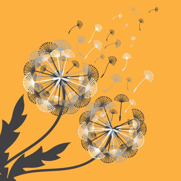 概念蒲公英图片下载