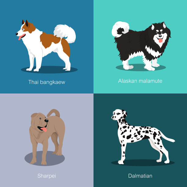 不同品种的狗图片下载