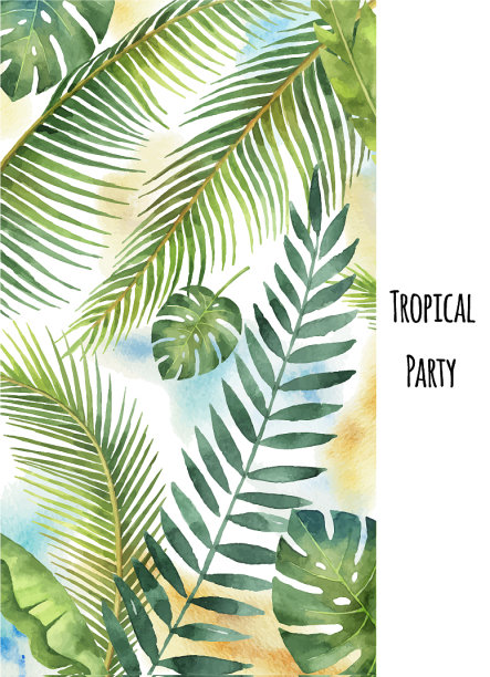 水彩横幅热带树叶和图片下载