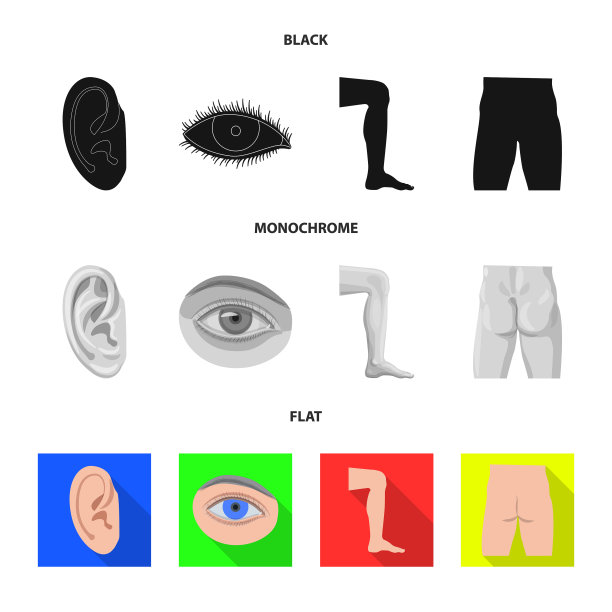 人体和零件图标的收集设计图片下载