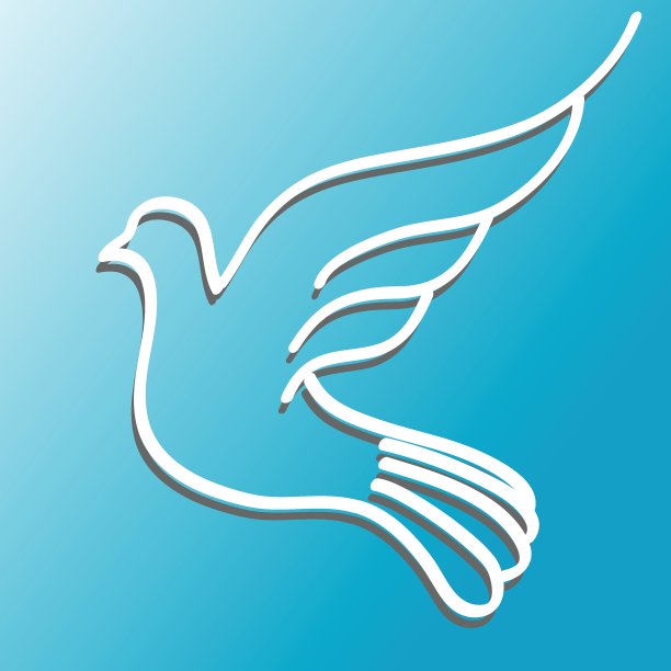 鸽子在蓝色的图片下载