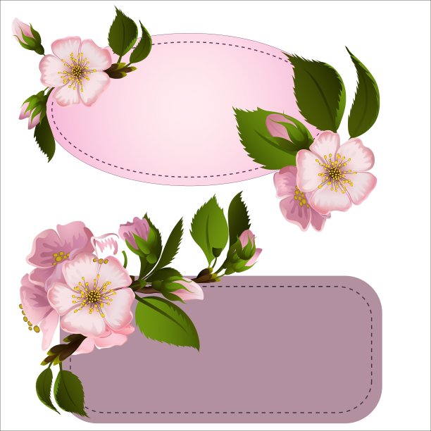 标签用鲜花图片下载