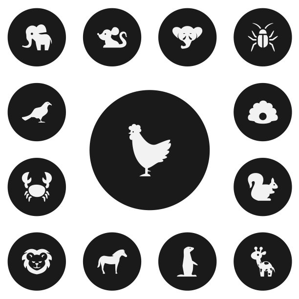一组13可编辑的动物园图标包括符号图片下载