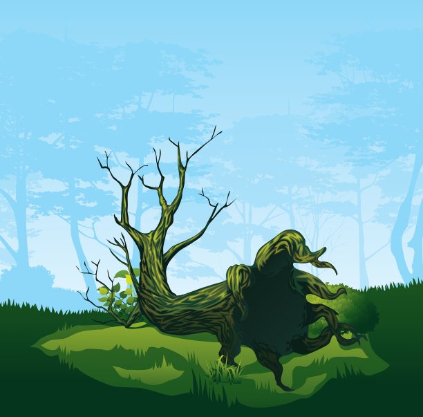 有弯曲树冠的树图片下载