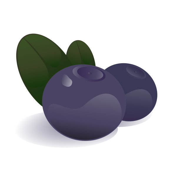 蓝莓孤立图片下载