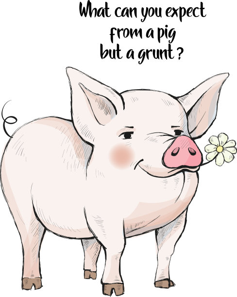 除了哼哼唧唧的可爱，你还能从猪身上期待什么呢图片下载