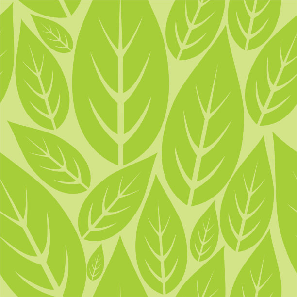 绿色的树叶图片下载