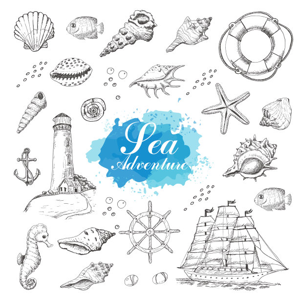 孤立的海洋物体在一个白色的背景贝壳图片下载