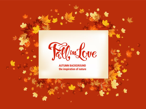 秋天的枫叶当画框图片下载