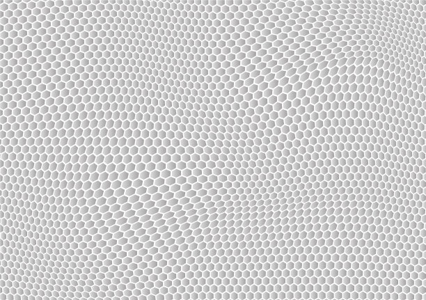 抽象背景白色六角形波图片下载