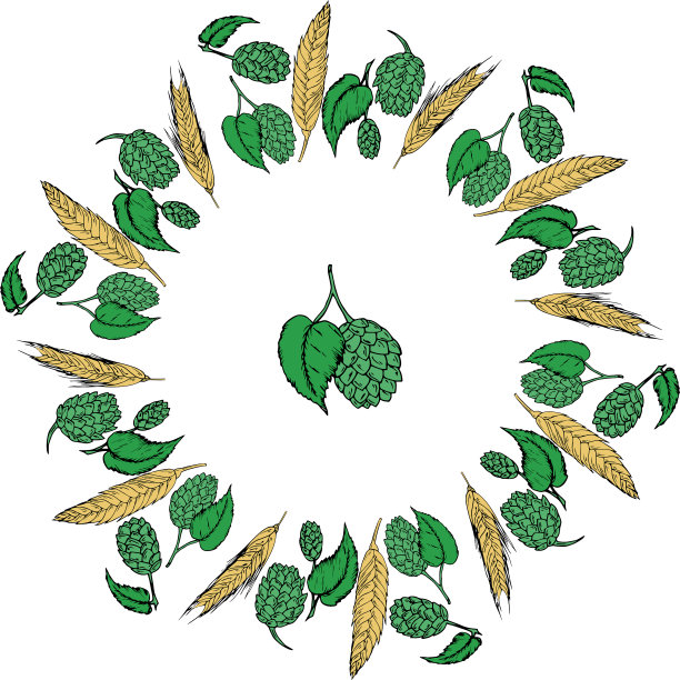 啤酒花和麦芽圆形框架图片下载