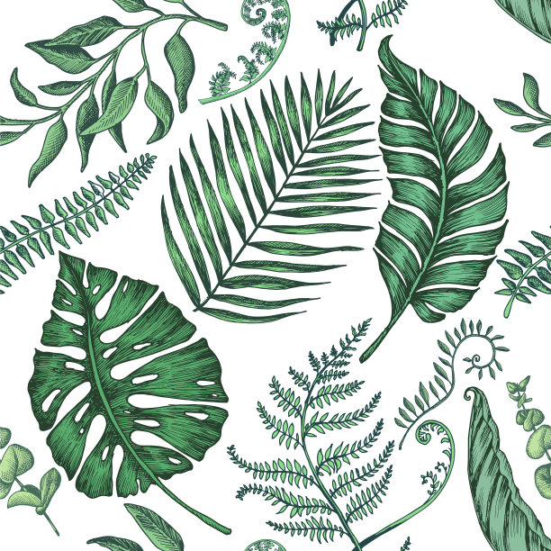 无缝图案与棕榈叶图片下载