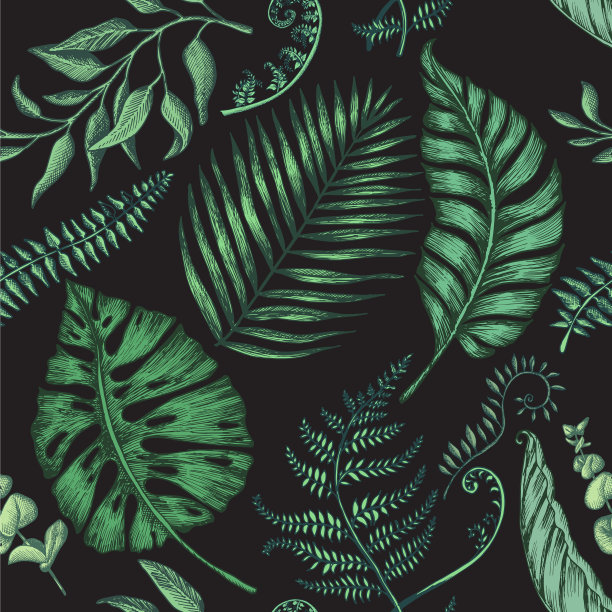 无缝图案与棕榈叶图片下载