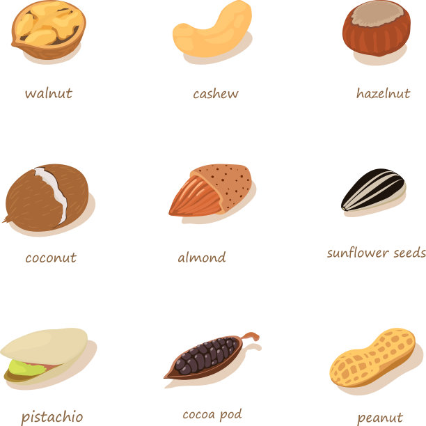 各种坚果图标设置等距样式图片下载