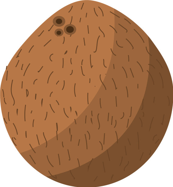 好吃的椰子果图片下载