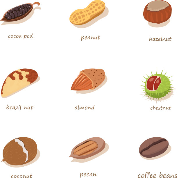 坚果填充图标设置等距样式图片下载