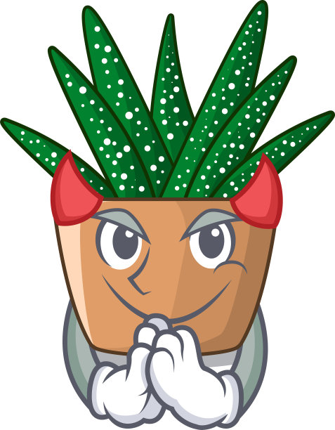 魔鬼卡通斑马仙人掌盛开在花园里图片下载