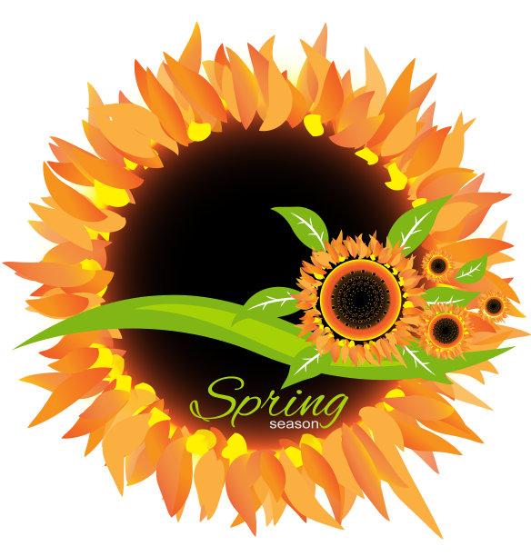 葵花是装饰春天季节的图标图片下载