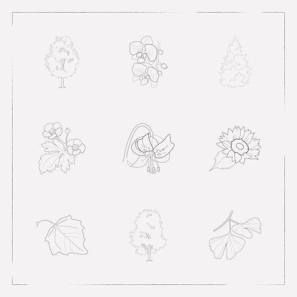 一套植物图标线条样式符号用图片下载