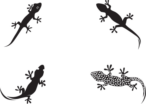 蜥蜴变色龙壁虎剪影黑色图片下载