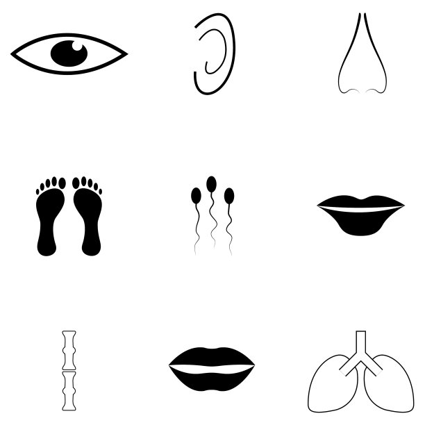 人体解剖图标组图片下载