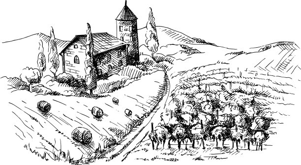 葡萄园的葡萄树和城堡图片下载