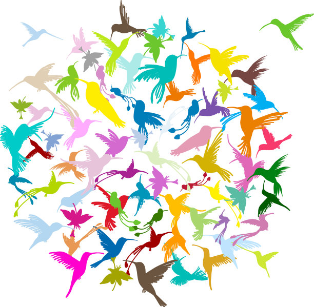 Colibri系列草图为您的设计图片下载