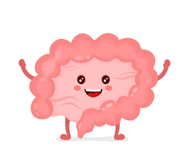 强壮健康的快乐肠道性格图片下载