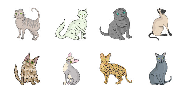 猫的品种图标在集合为设计图片下载