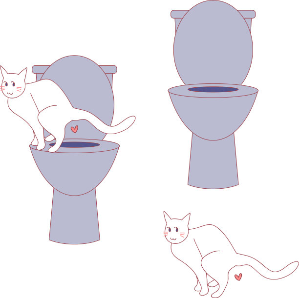猫在人类厕所拉屎图片下载
