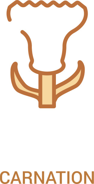 康乃馨概念2彩色图标简约线条图片下载