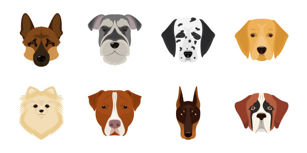 狗品种图标在集合设计图片下载