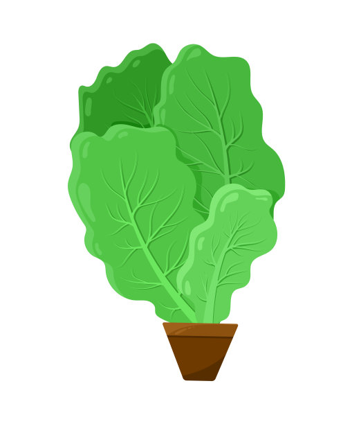 叶装进小的棕色容器图片下载